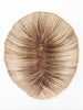 SANDY BLONDE ROOTED 16.22.20 | Medium Blonde, Light Neutral Blonde, and Light Strawberry Blonde Blend with Shaded Roots